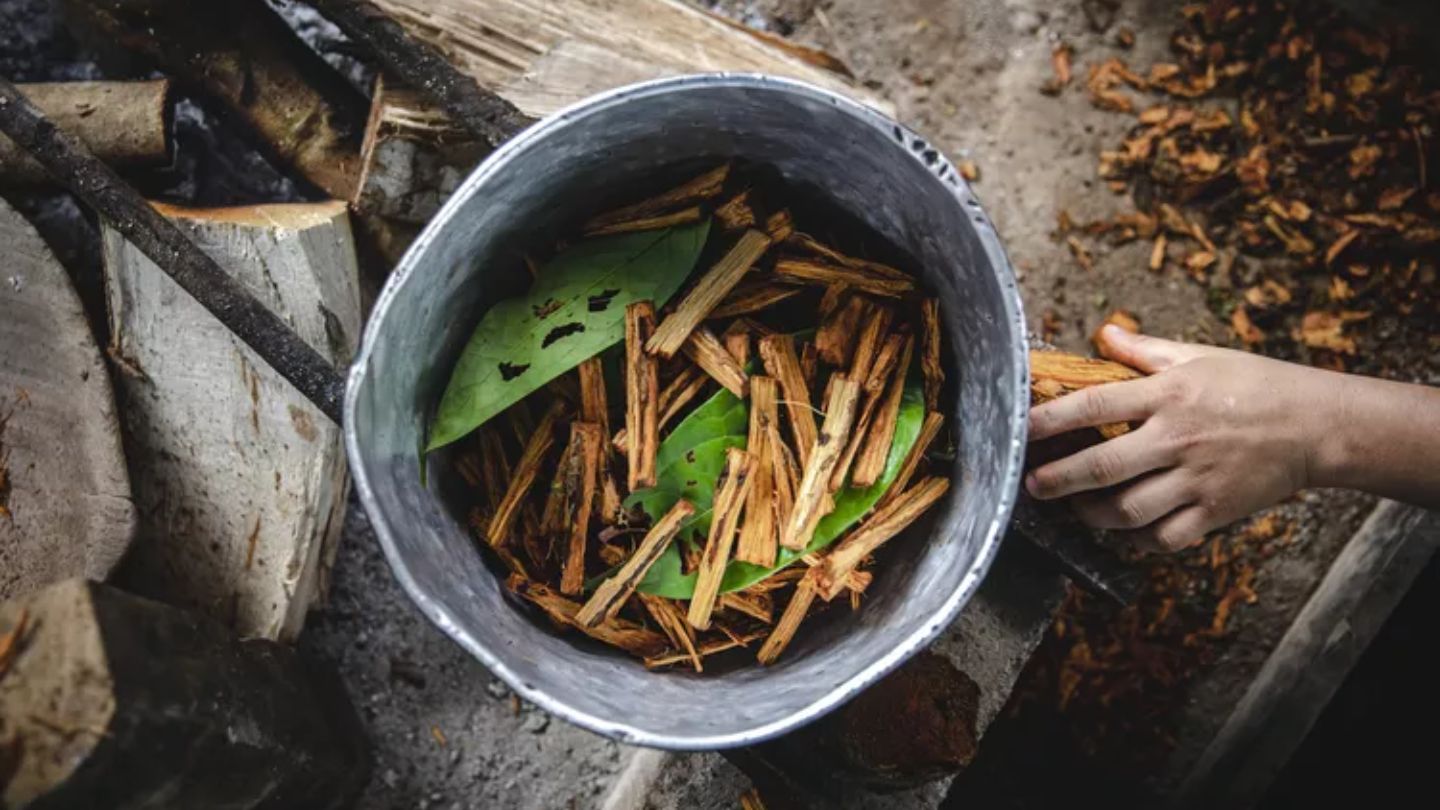 How Long Does Ayahuasca Last? 